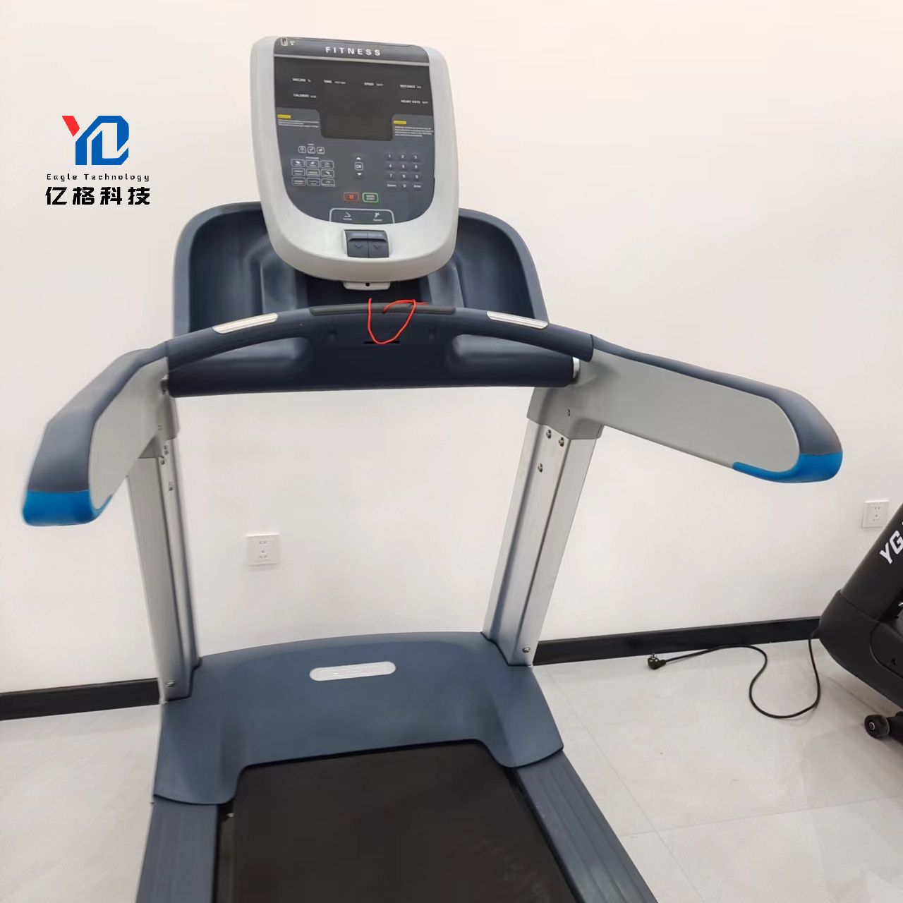Tapis Roulant Professionale di - Quality Running Gear recensione e prezzo