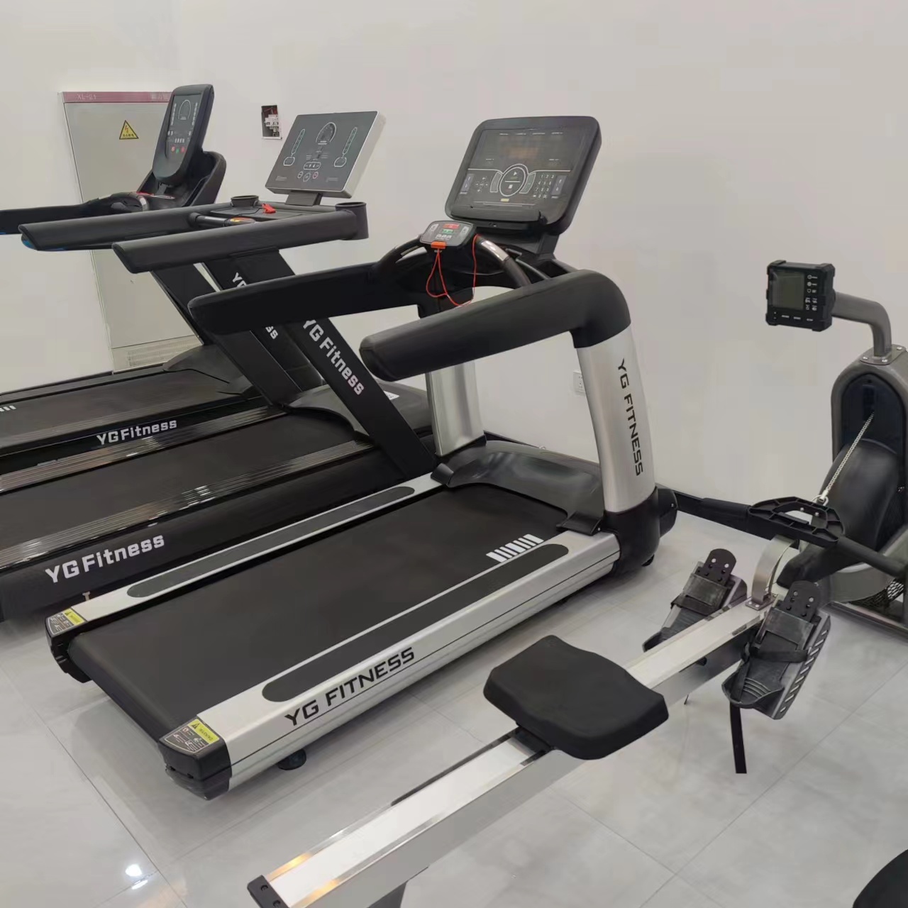 Tapis Roulant Elettrico Profes - Quality Running Gear recensione e prezzo
